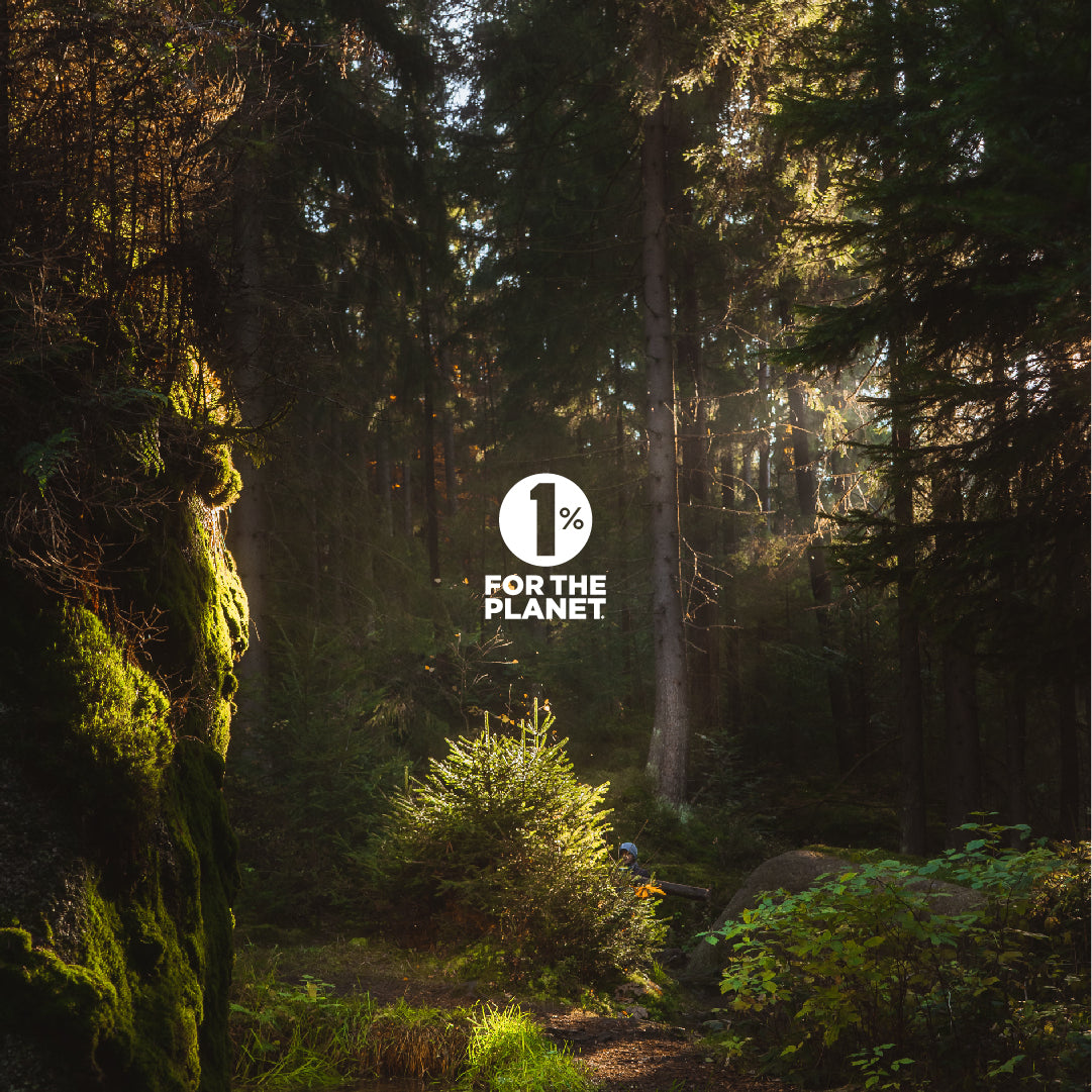 Sunlight shining through forest trees with “1% For The Planet” symbol highlighting Build It Boldly’s environmental commitment.
